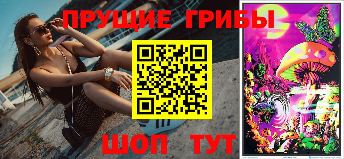 Псилоцибиновые грибы MAGIC MUSHROOMS Тара